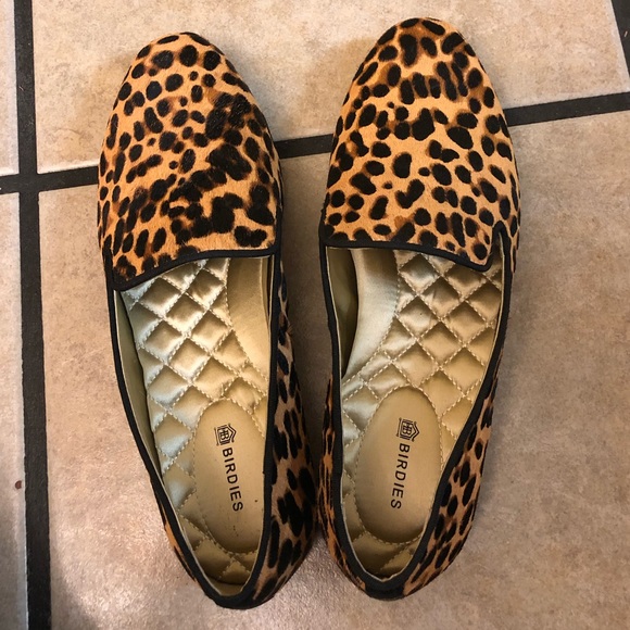 birdies starling cheetah